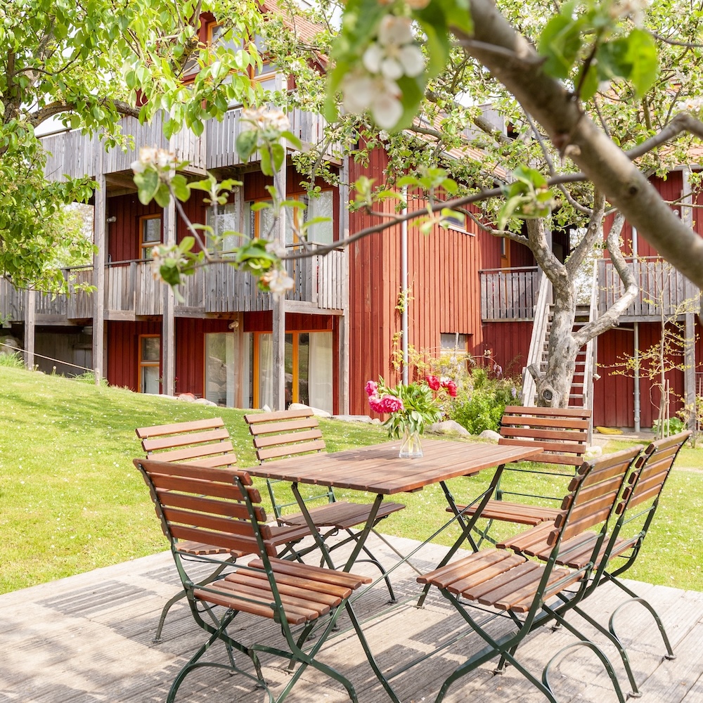 Sitzplatz im Garten unter alten Obstbäumen Apfelgarten Usedom Reetzow Ferienwohnungen